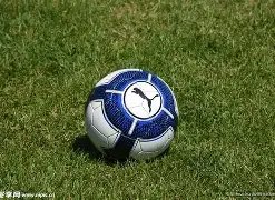 赛季中超联,赛降级席位,揭晓时刻,金宝博188bet体育官网,APP下载,注册领彩金,官方网站,网站入口