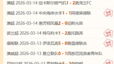 【争议奢华之旅：阿森纳VIP体验昂贵难触，工薪球迷感叹遥不可及】